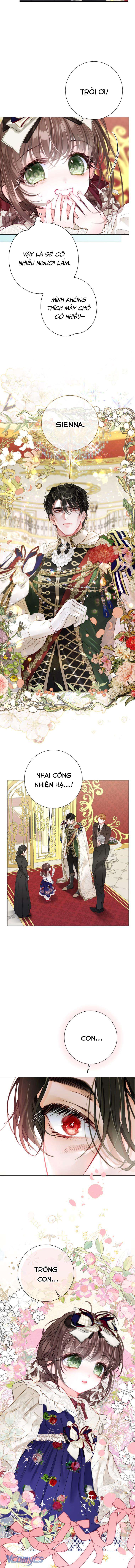 Một Thế Giới Không Có Chị Gái Mà Ai Cũng Yêu Chap 36 - Trang 4