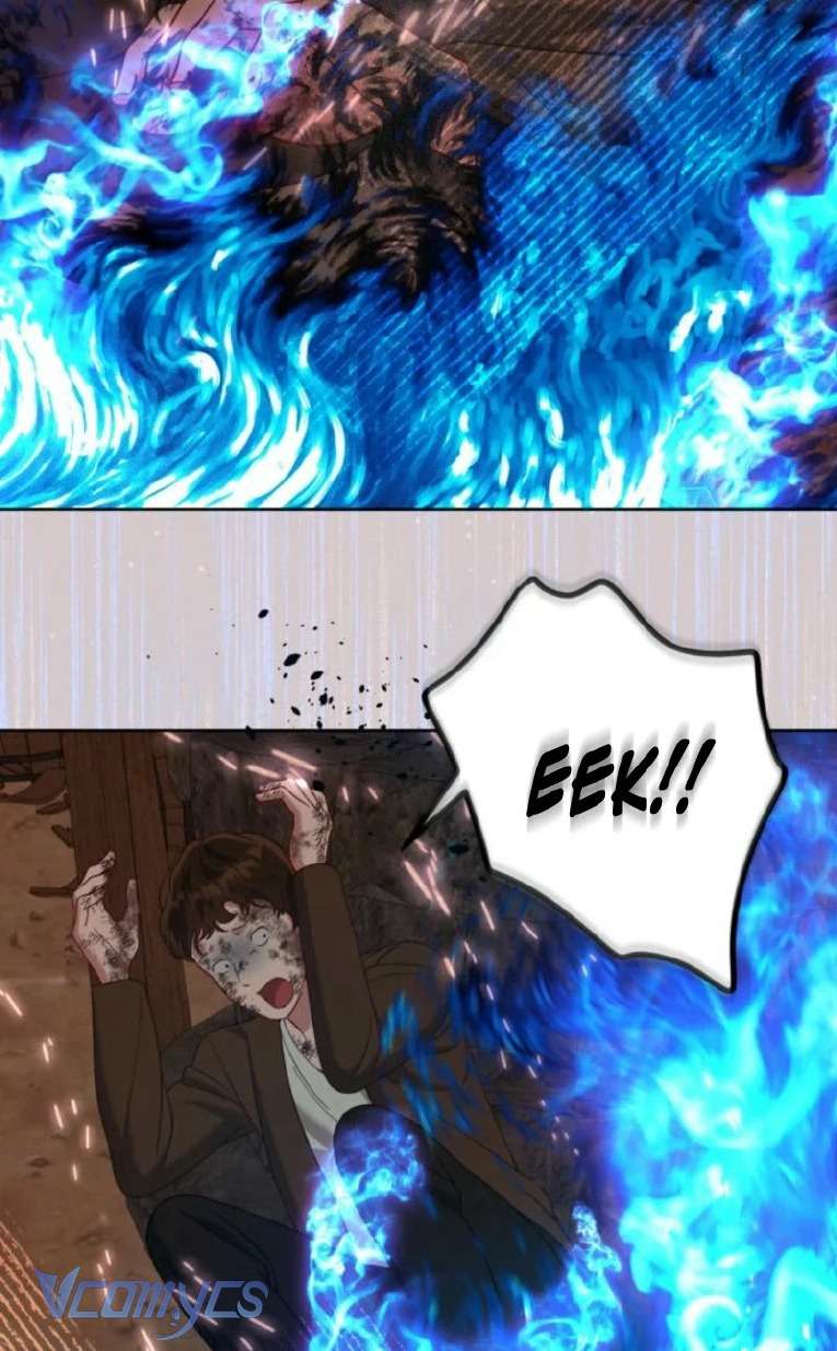 Sự Điều Trị Đặc Biệt Của Tinh Linh Chap 101 - Trang 4