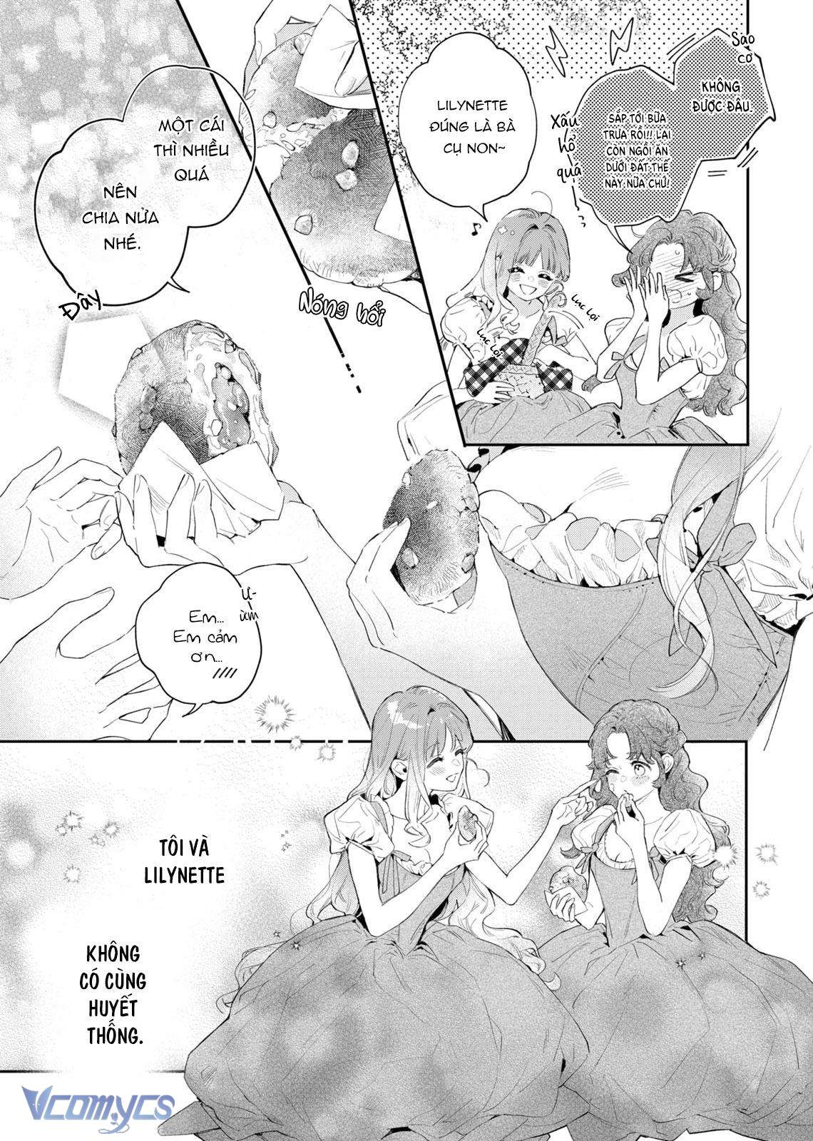 Hoa Hồng Ẩn Giấu Sao Băng Chapter 1 - Trang 4