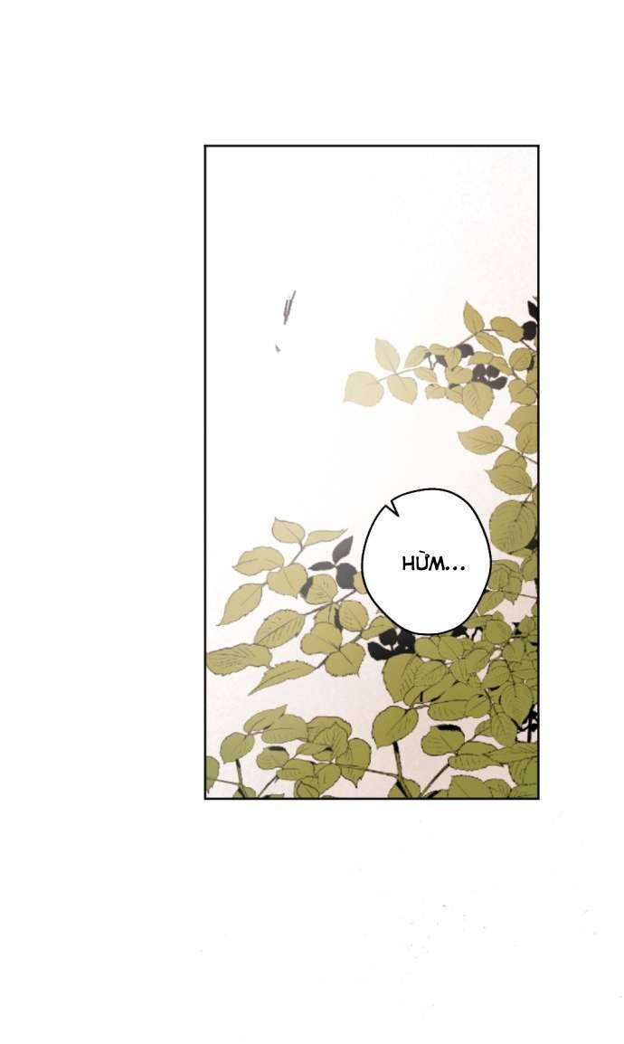 Lời Thú Nhận Của Chúa Tể Bóng Tối Chap 44 - Trang 4