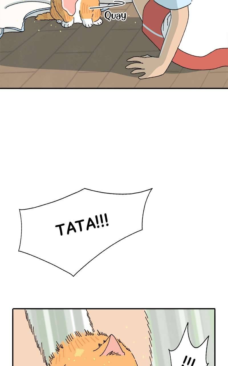 Chú Mèo Tata Chapter 3 - Trang 3