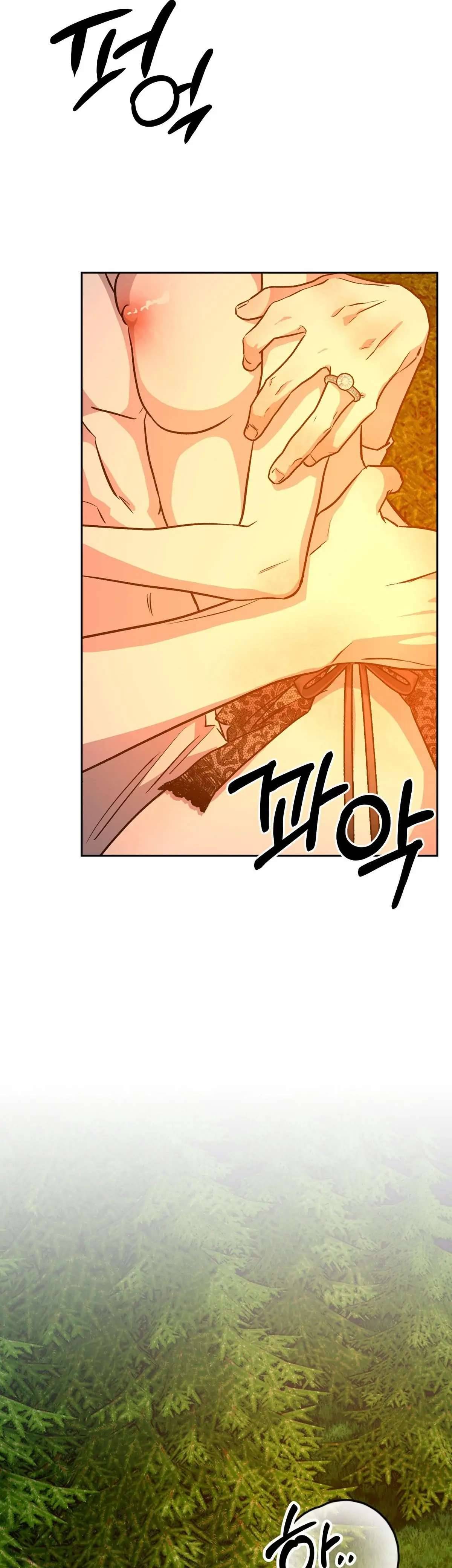 Hoàng Tử Bạch Tuyết Đã Bị Hoàng Hậu Bắt Đi Chapter 20 - Trang 3