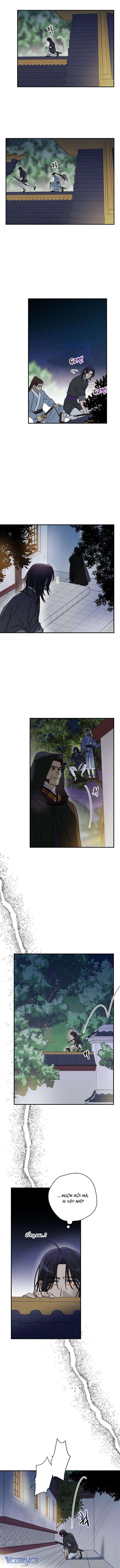 Quốc Hôn Chapter 42 - Trang 4