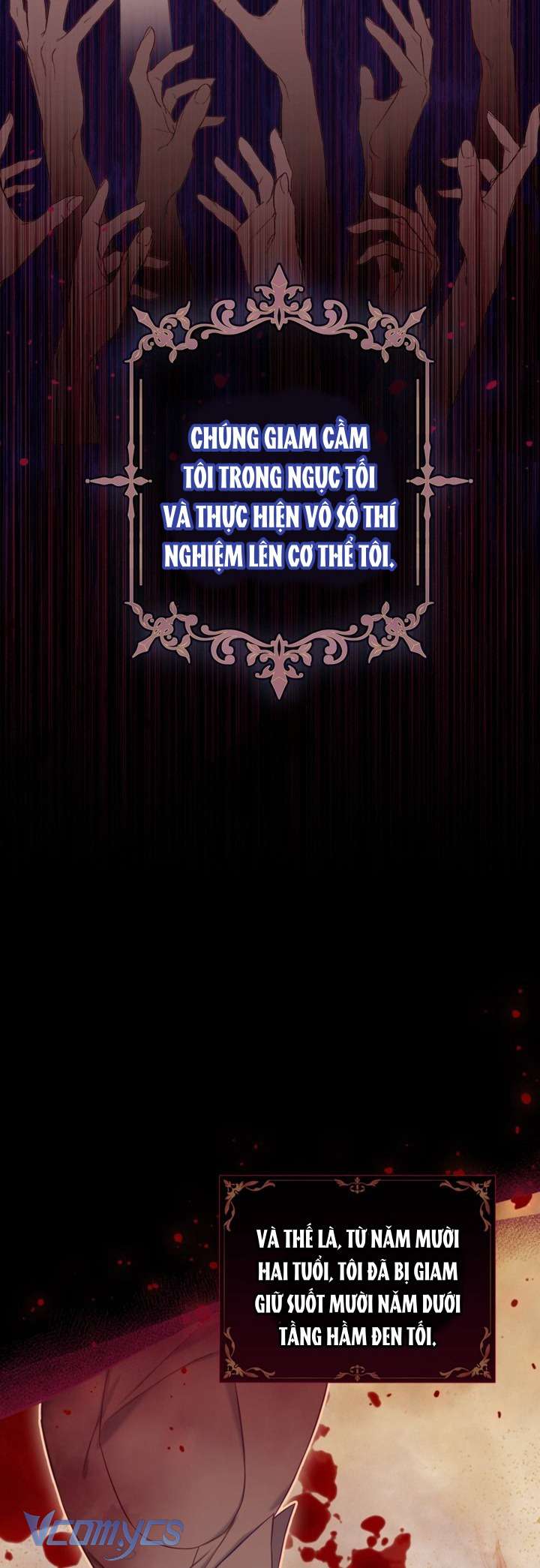 Người Anh Trai Mạnh Nhất Của Tôi Đã Mất Trí Nhớ Chap 1 - Trang 4