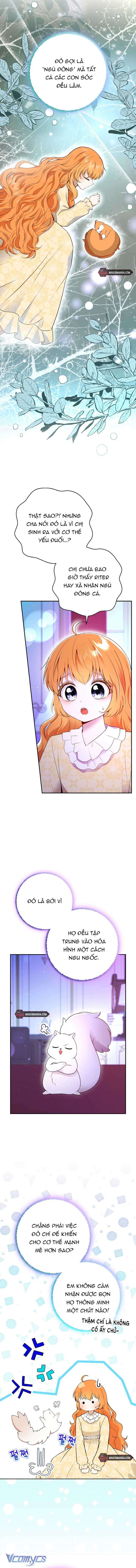 Sóc Con Tài Năng Chap 74 - Trang 2