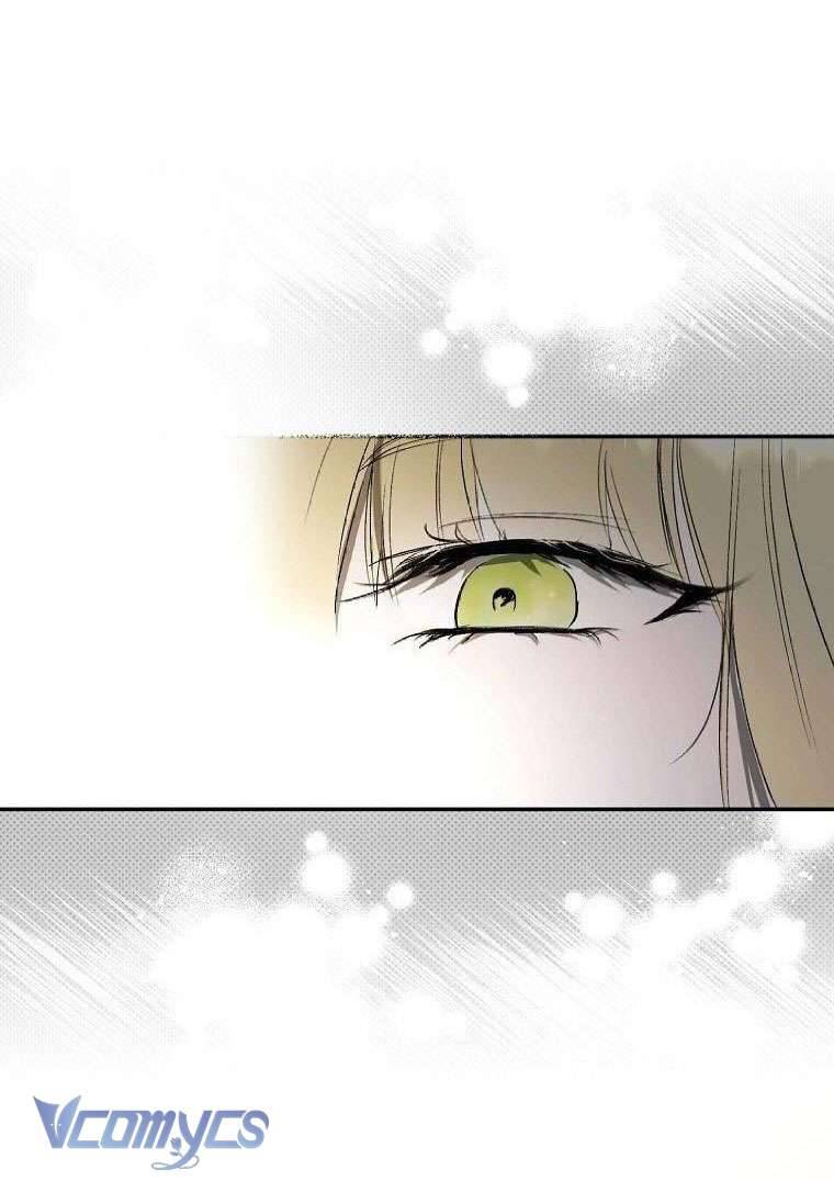 Các Nam Chính Đã Bị Nữ Phụ Cướp Mất Chap 5 - Trang 3