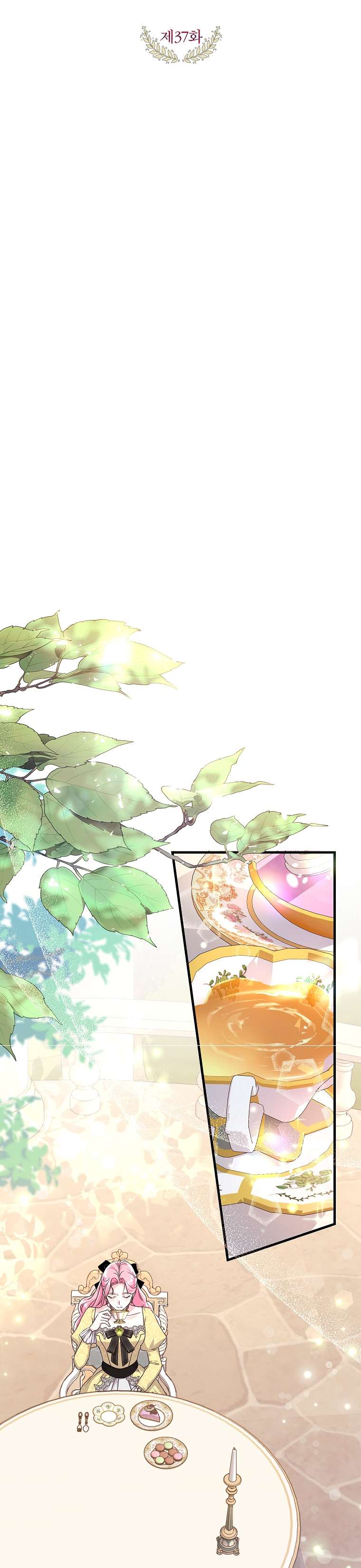 Kẻ Phản Diện Có Thời Hạn Ủng Hộ Tôi Hủy Hôn Chapter 37 - Next Chapter 38