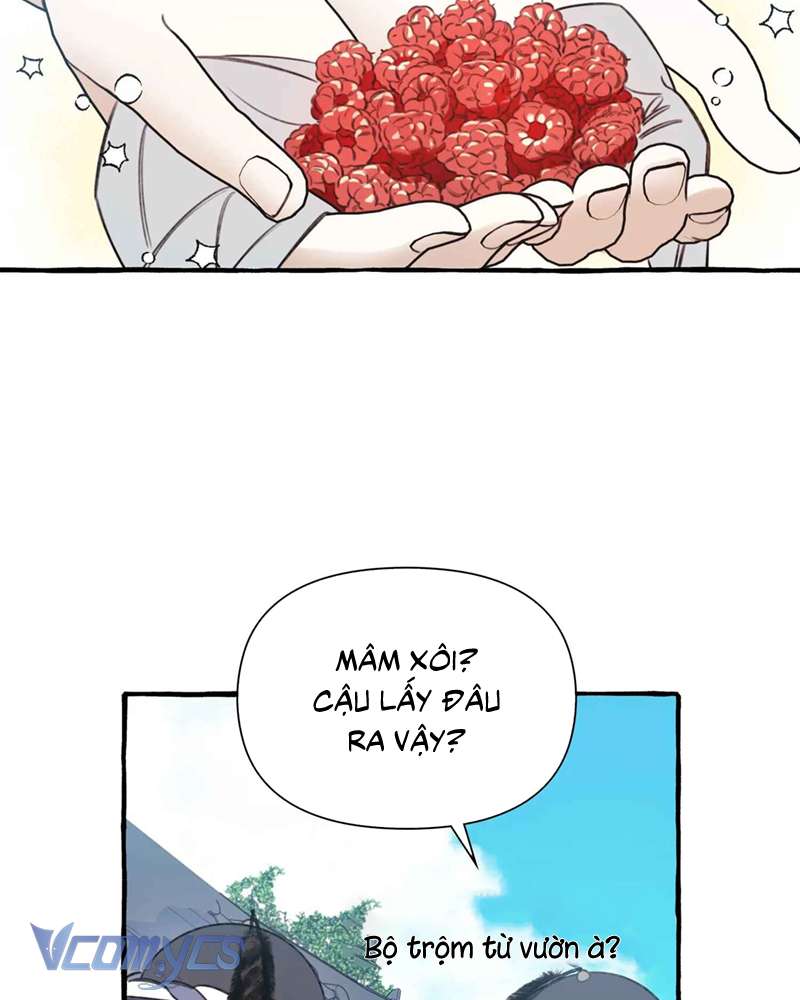 Chuyện Tình Hoa Lưu Ly Chap 3 - Trang 2