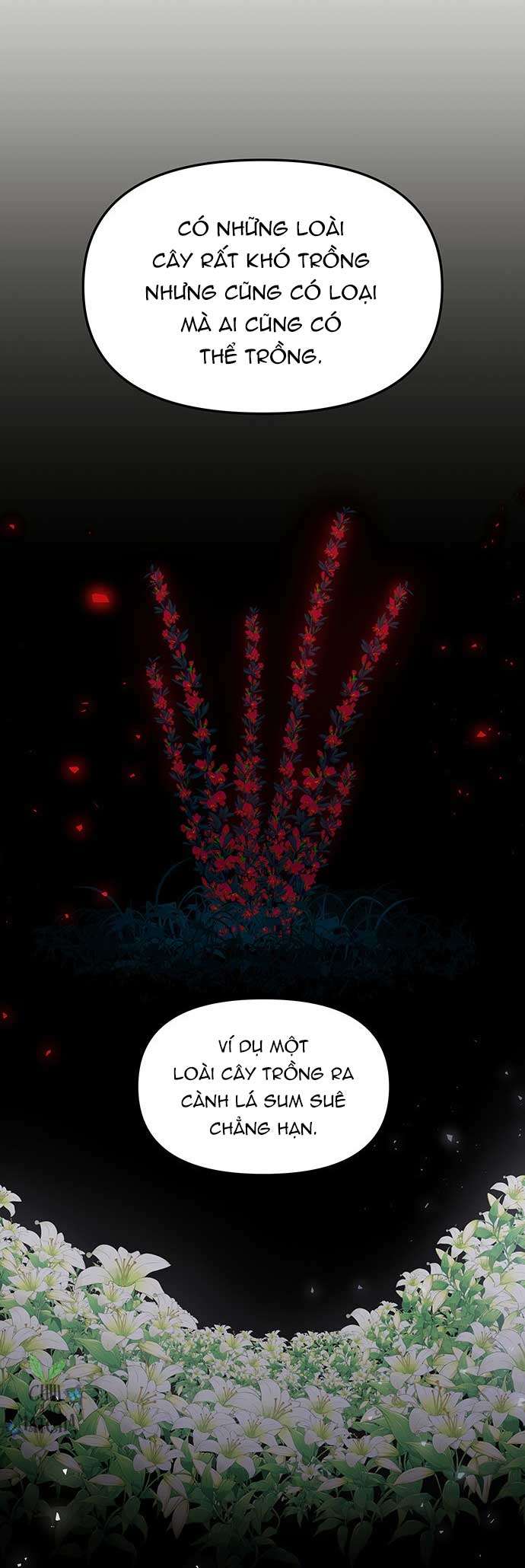 Vương Tử Huyền Bí Chapter 80 - Trang 4