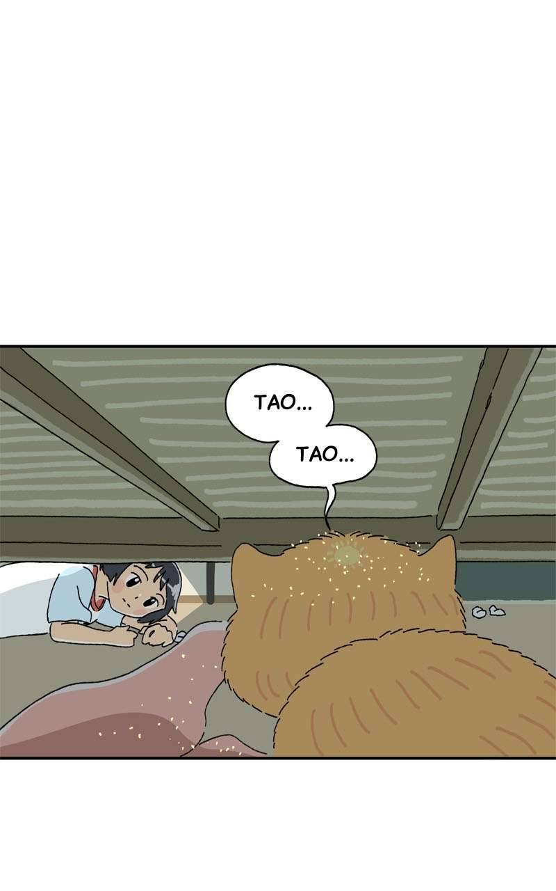 Chú Mèo Tata Chapter 3 - Trang 3