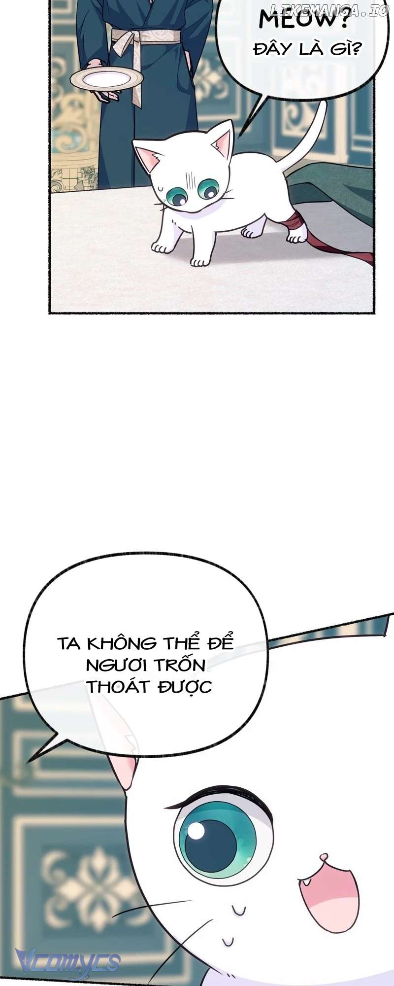 Trở Thành Chú Mèo Ngủ Cùng Bạo Chúa Chapter 5 - Next Chapter 6