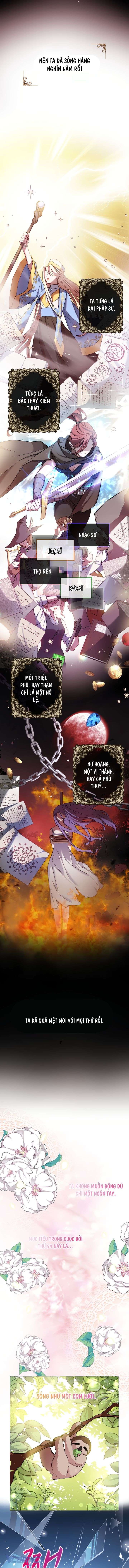 Chợ Review Nhà Họ Hoàng Chap Ngơi - Trang 2