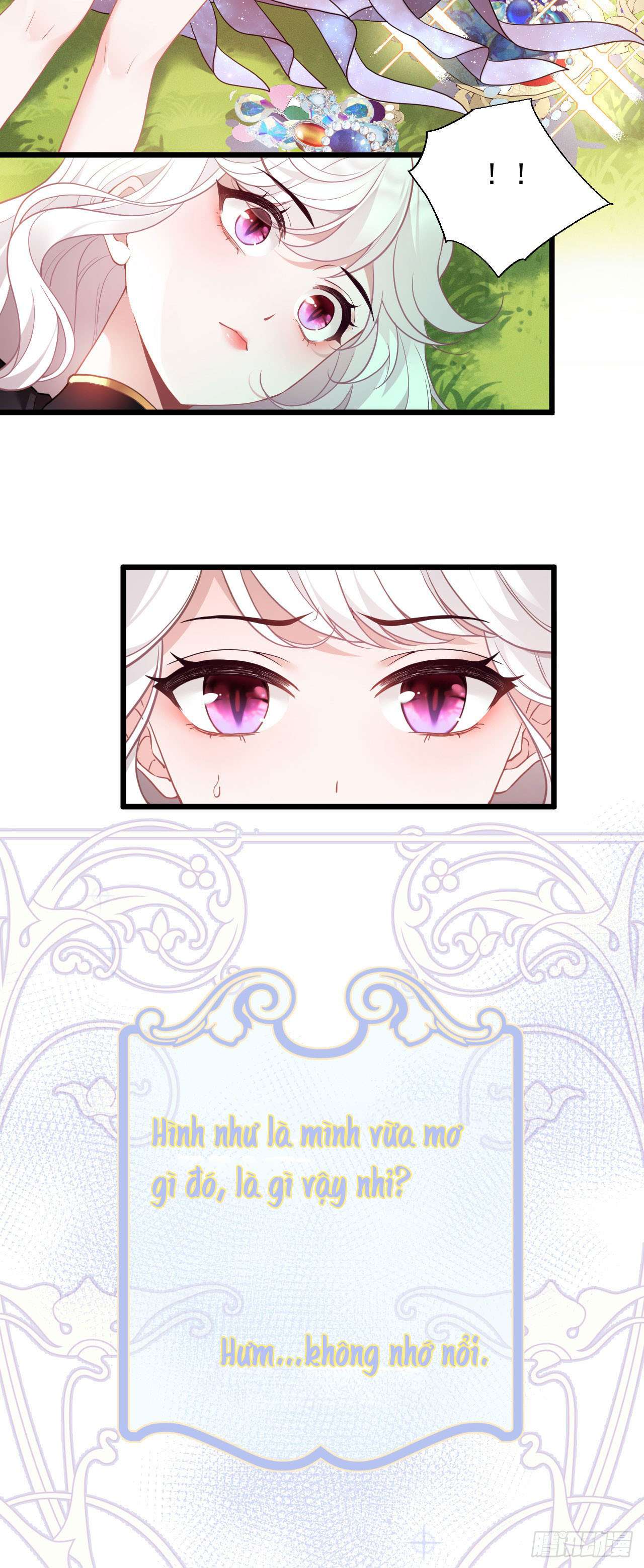 Hiệp Sĩ Độc Quyền Của Long Nữ Chapter 1 - Next Chapter 2