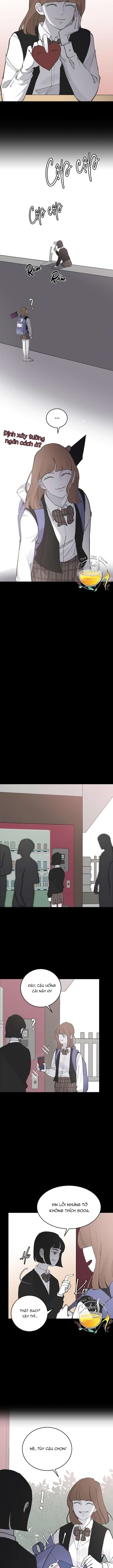 Ba Anh Trai Cực Phẩm Của Tôi Chap 13 - Trang 3