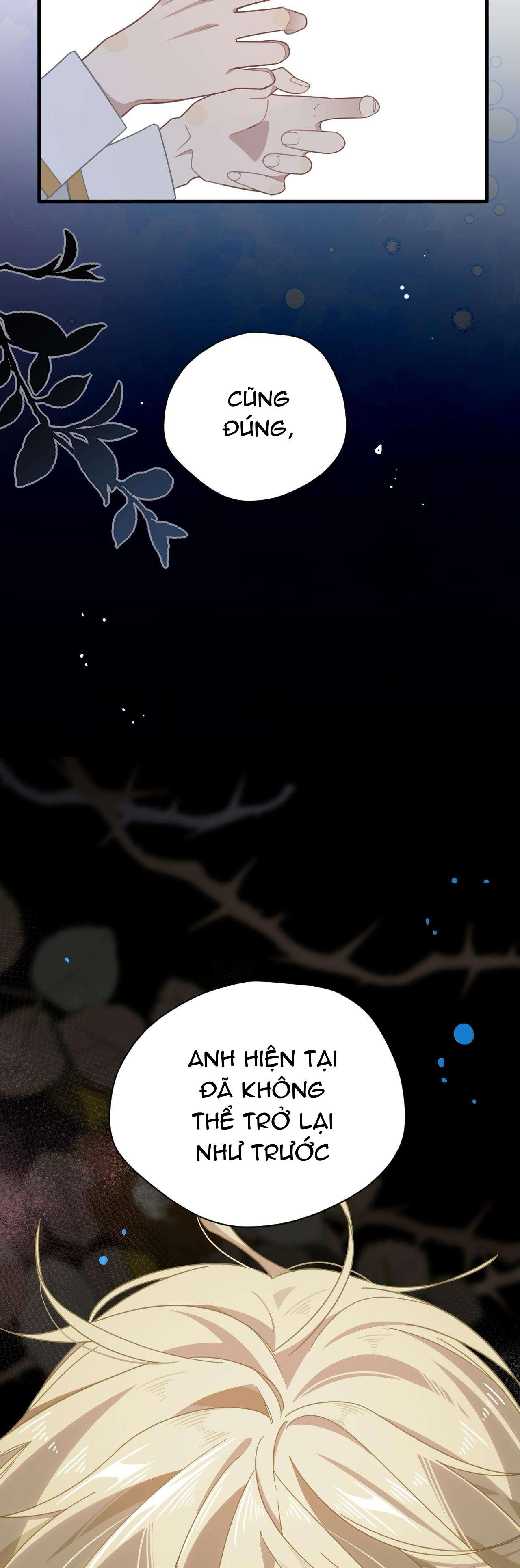 Xuyên thành phù thủy nuôi dưỡng kỵ sĩ thánh điện Chapter 29 - Trang 4