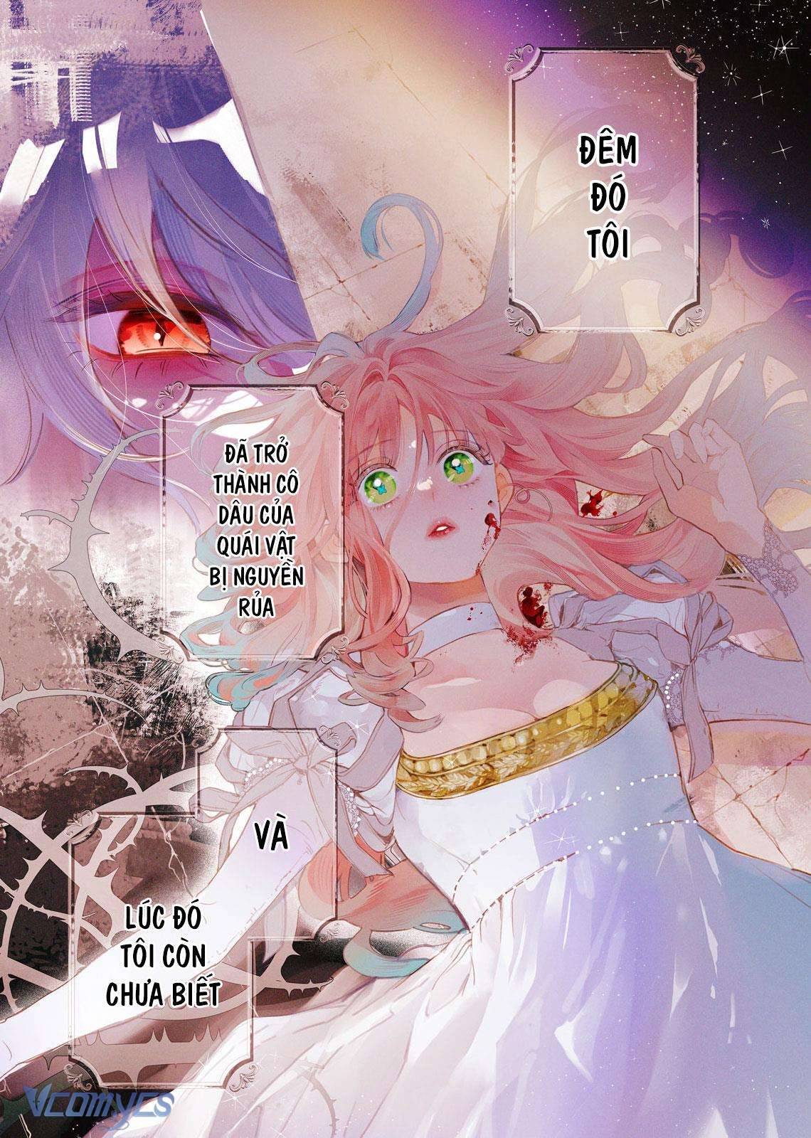 Hoa Hồng Ẩn Giấu Sao Băng Chapter 1 - Trang 4