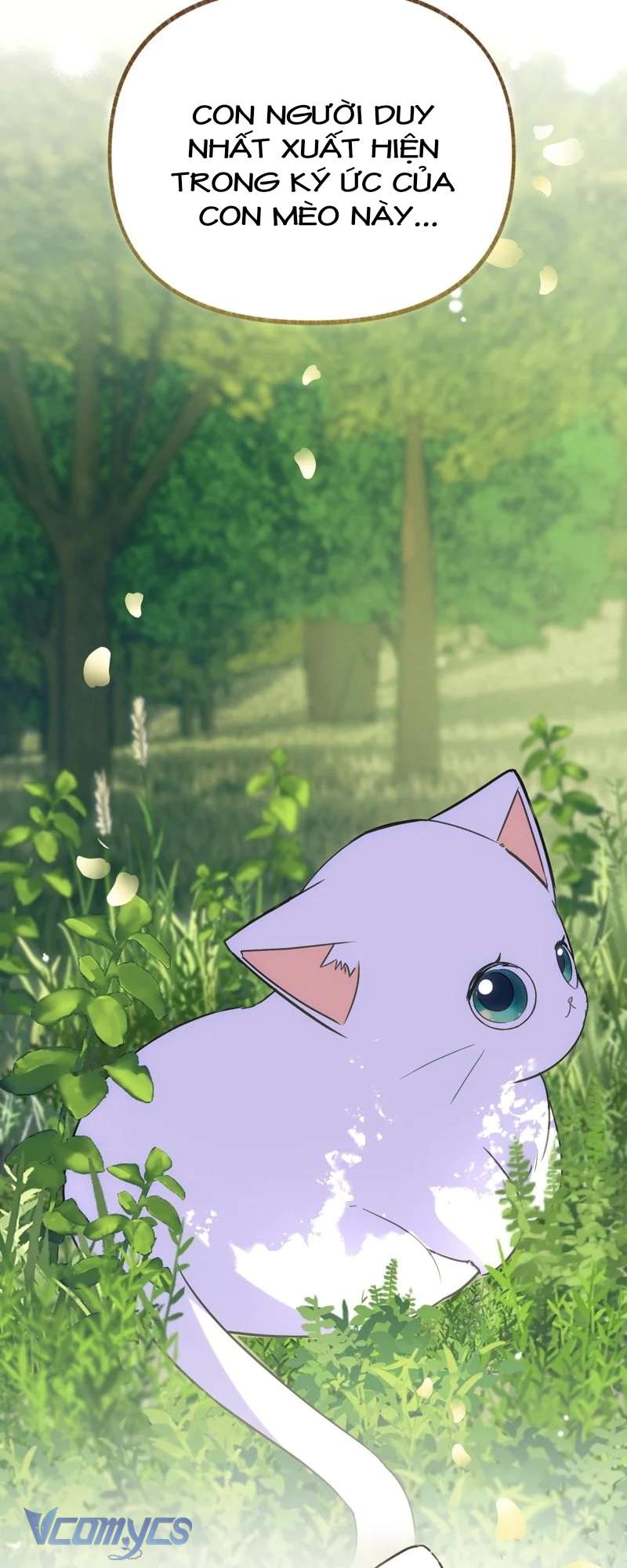 Trở Thành Chú Mèo Ngủ Cùng Bạo Chúa Chapter 7 - Trang 3