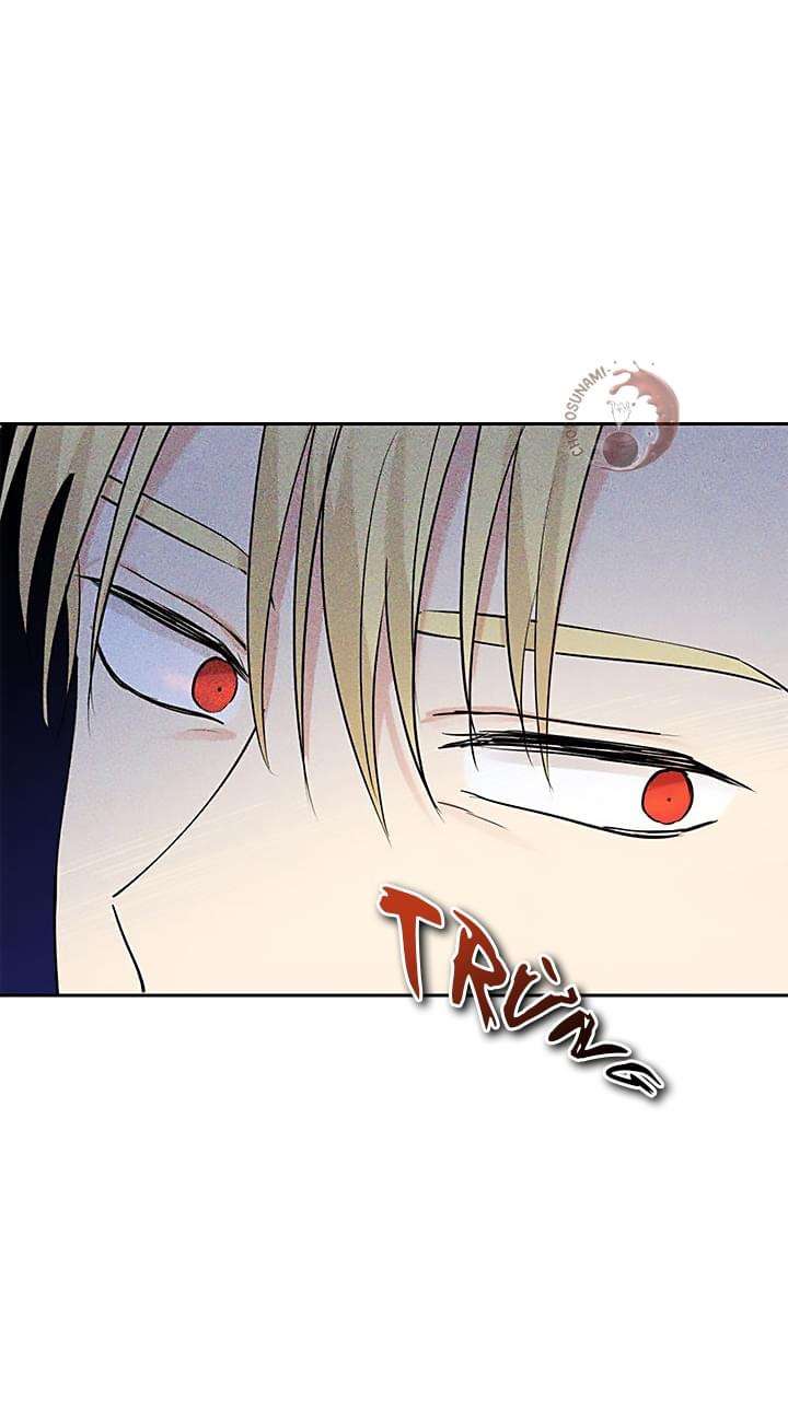 Tôi Là Minh Chứng Của Sự Thật Chap 22 - Trang 3