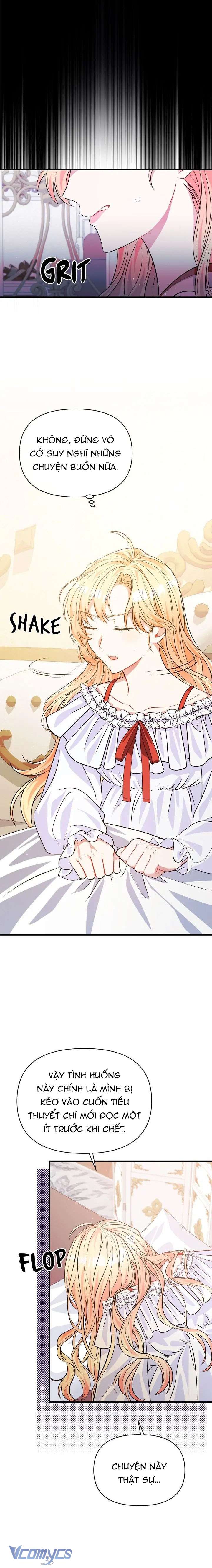 Có Nhiều Nam Phụ Quá Rồi Chap 2 - Trang 2