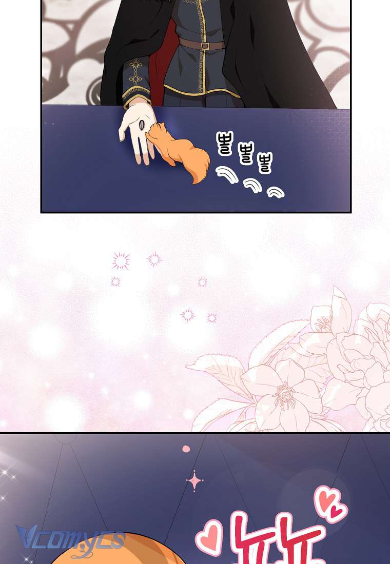 Sóc Con Tài Năng Chap 5 - Next Chap 6