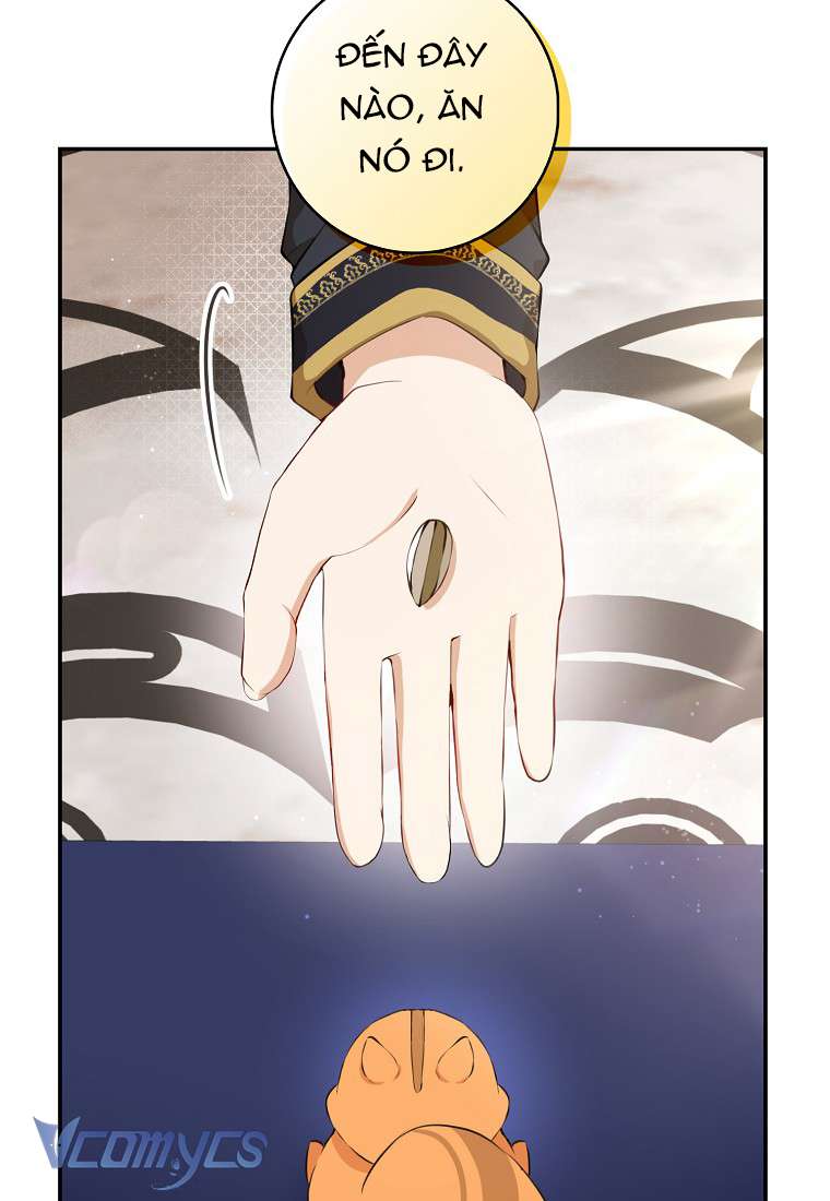 Sóc Con Tài Năng Chap 5 - Next Chap 6