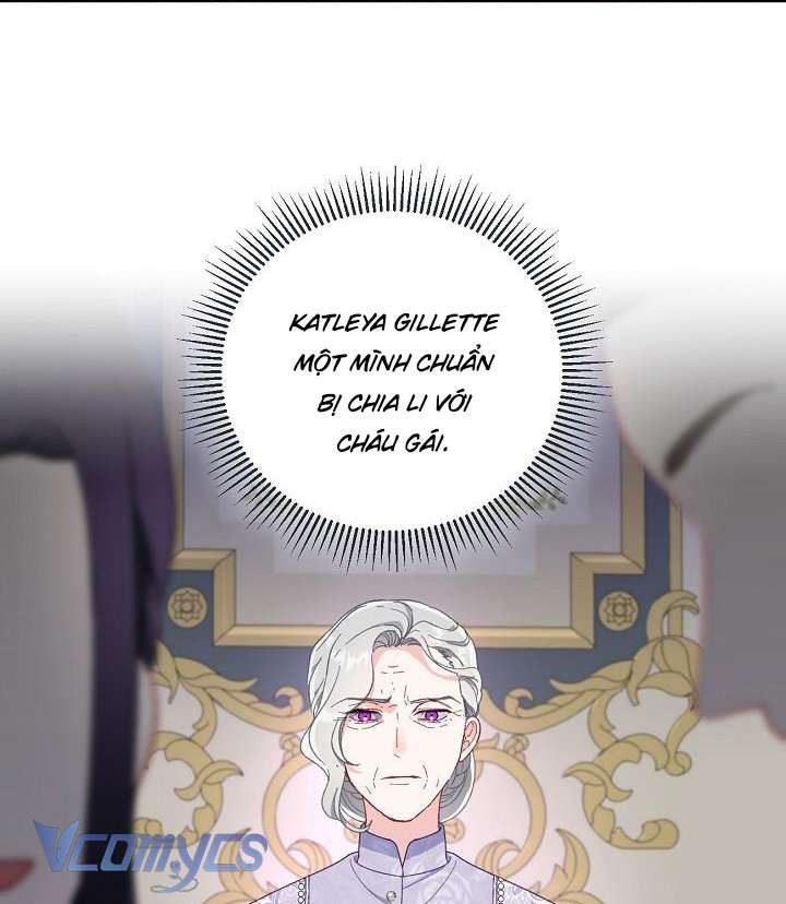 Sự Điều Trị Đặc Biệt Của Tinh Linh Chapter 21 - Next Chapter 21.5