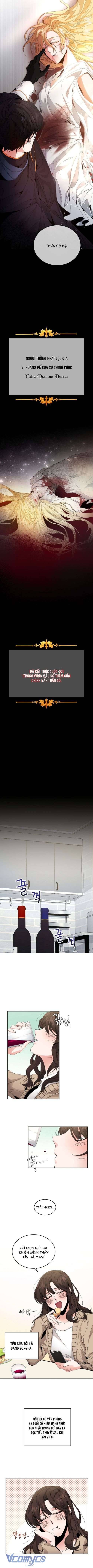 Xuyên Vào Tiểu Thuyết Làm Nữ Hoàng Tàn Độc Chapter 1 - Trang 4