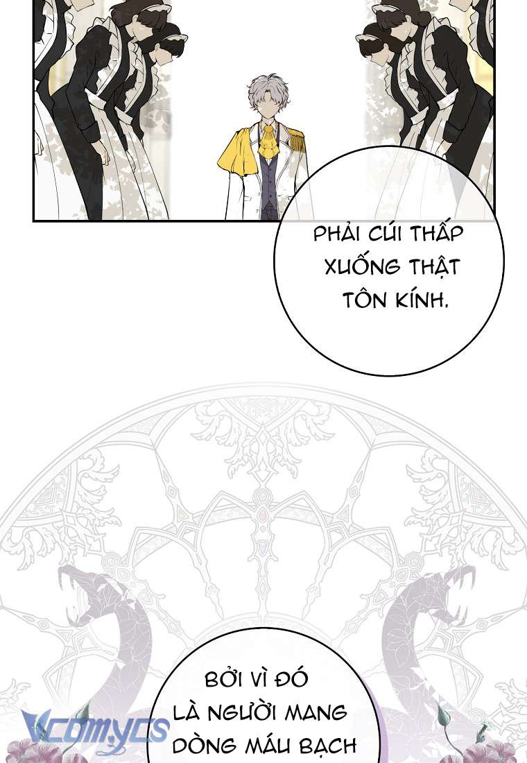 Sóc Con Tài Năng Chap 1 - Next Chap 2