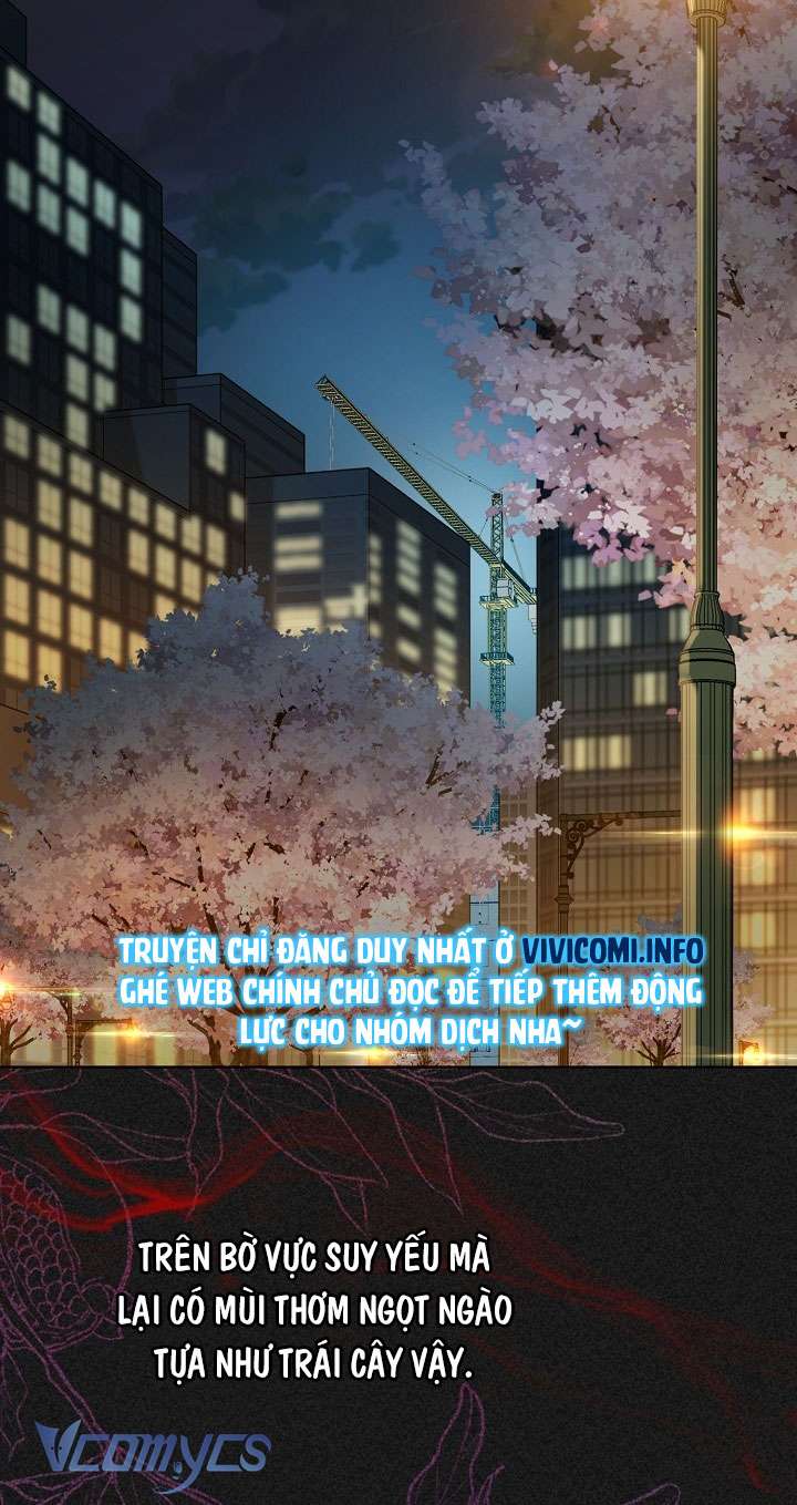 [18+] Love Kitsch Crunch Chapter 11 - Trang 3