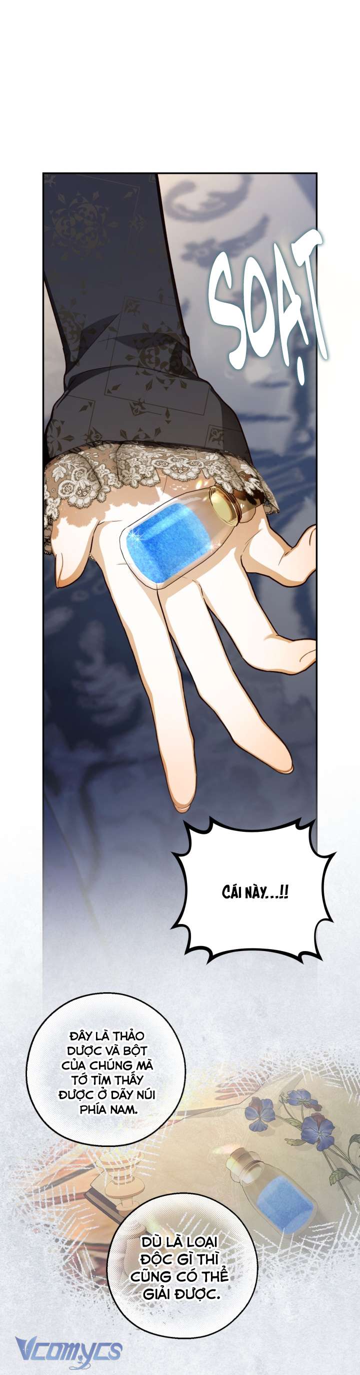 Phương Pháp Che Giấu Đứa Con Của Hoàng Đế Chapter 91 - Next Chapter 92