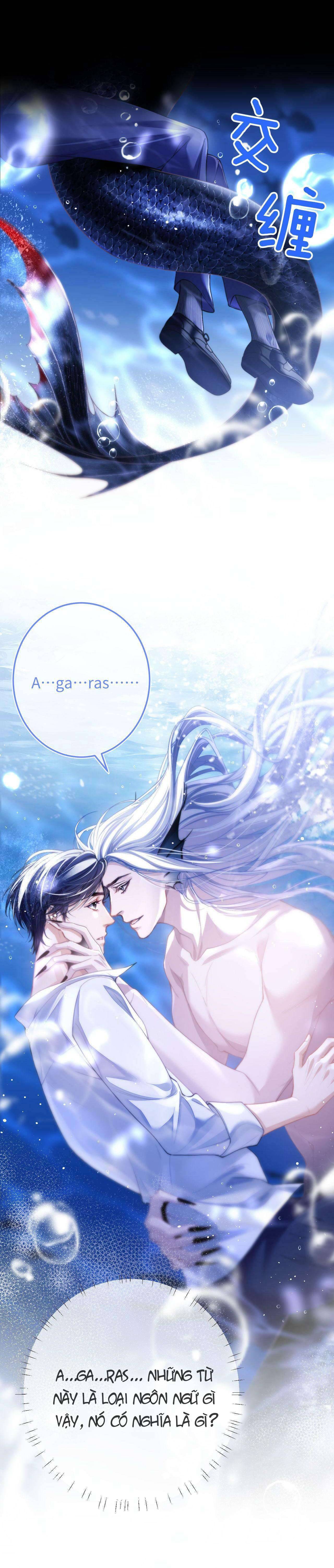 Nhân Ngư Desharow Chapter 5 - Next Chapter 6