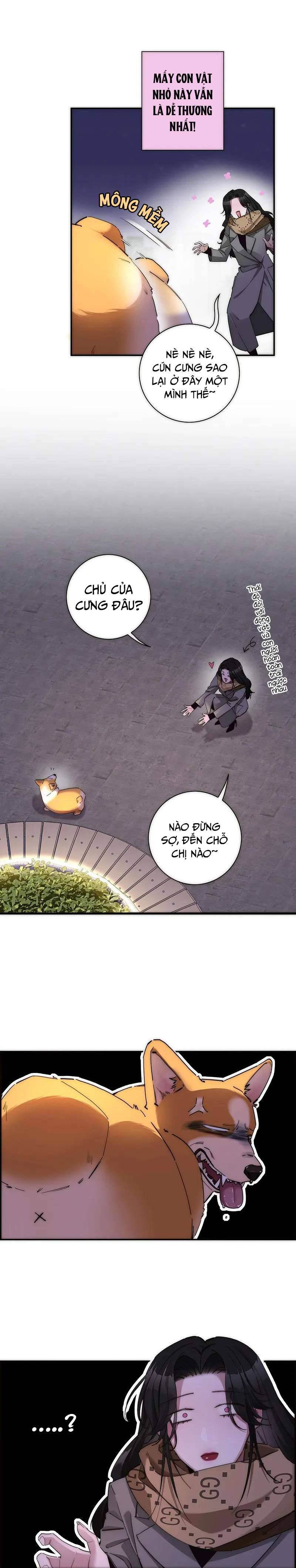 Ân Nhân Của Tôi Không Phải Học Giả Chapter 5 - Trang 3