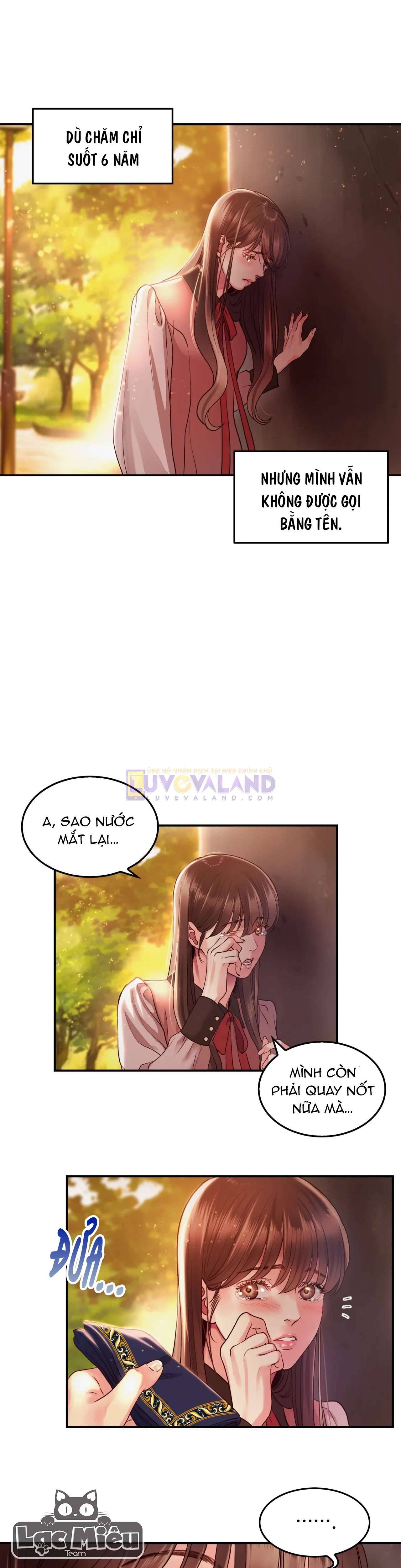 Ngôi Sao Ban Mai Chap 2 - Trang 2