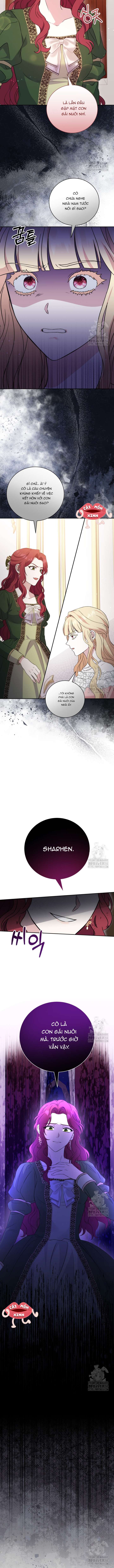 Khi Người Mẹ Kế Tham Vọng Làm Bá Chủ Hậu Cung Chap 1 - Next Chap 2