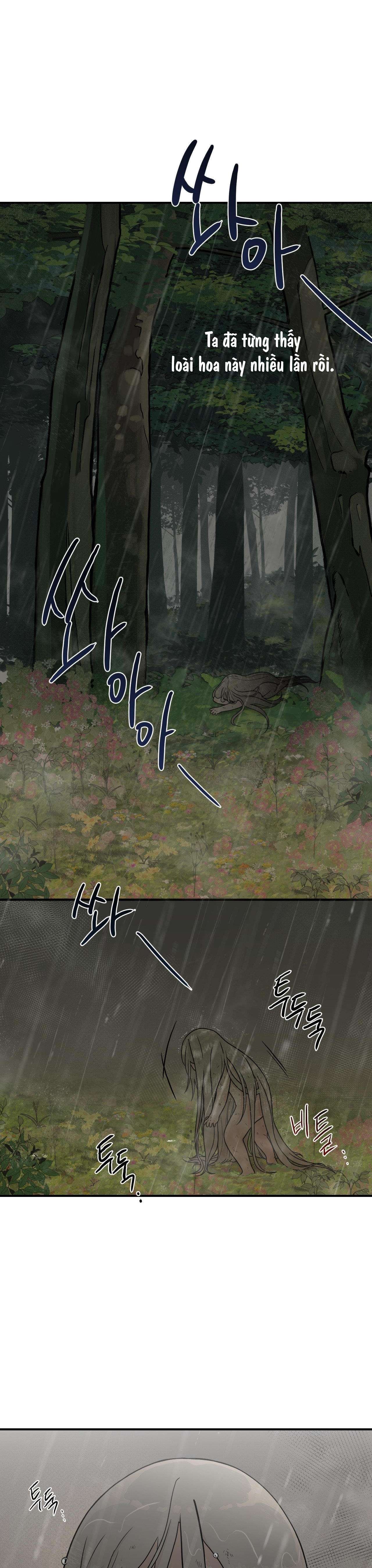 [ 18+ KHÔNG CHE ] Bibisea Chap 6 - Trang 2