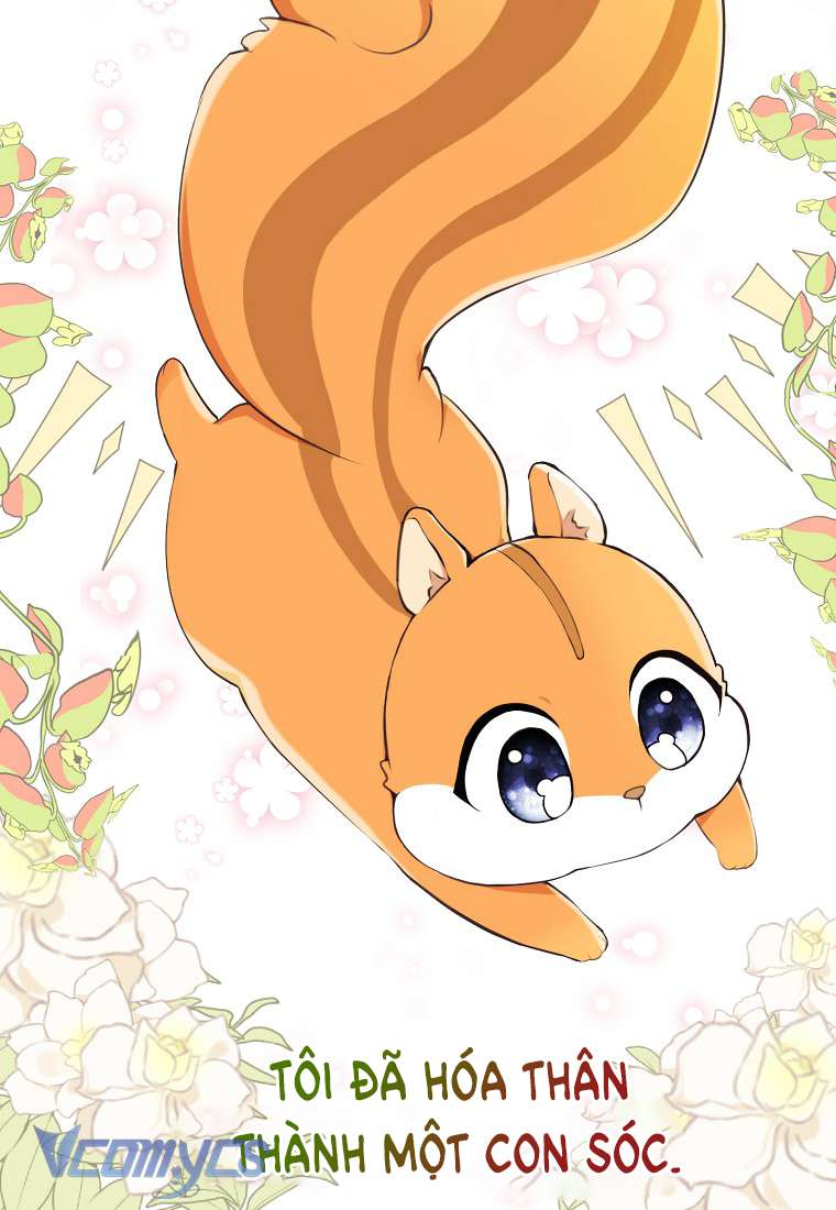Sóc Con Tài Năng Chap 1 - Next Chap 2