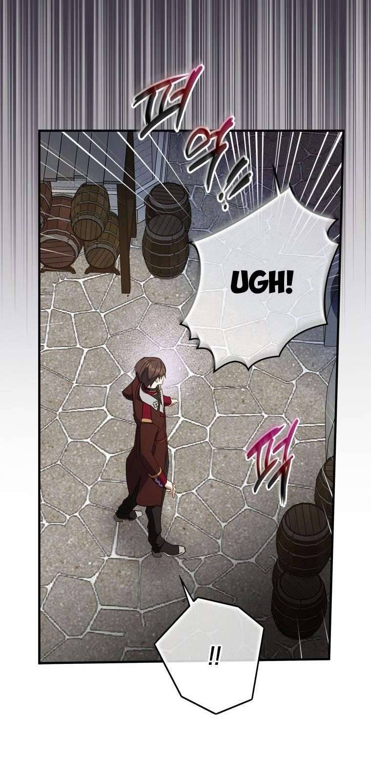 Tôi Đã Bảo Nữ Chính Đang Cải Trang Cơ Mà! Chap 29 - Trang 2