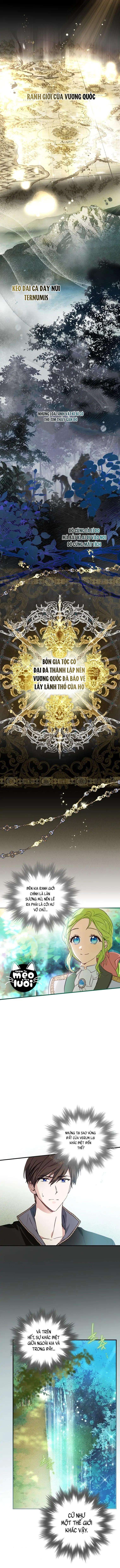 Tôi Đã Bảo Nữ Chính Đang Cải Trang Cơ Mà! Chap 11 - Trang 2