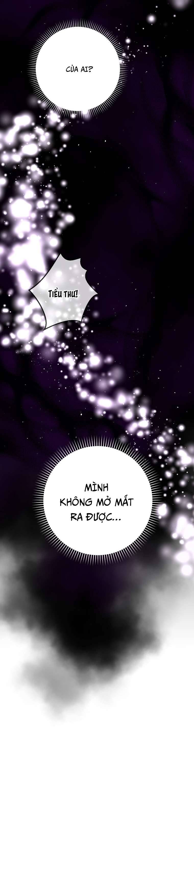 Tôi Trở Thành Vợ Của Nam Chính Chap 67 - Trang 3