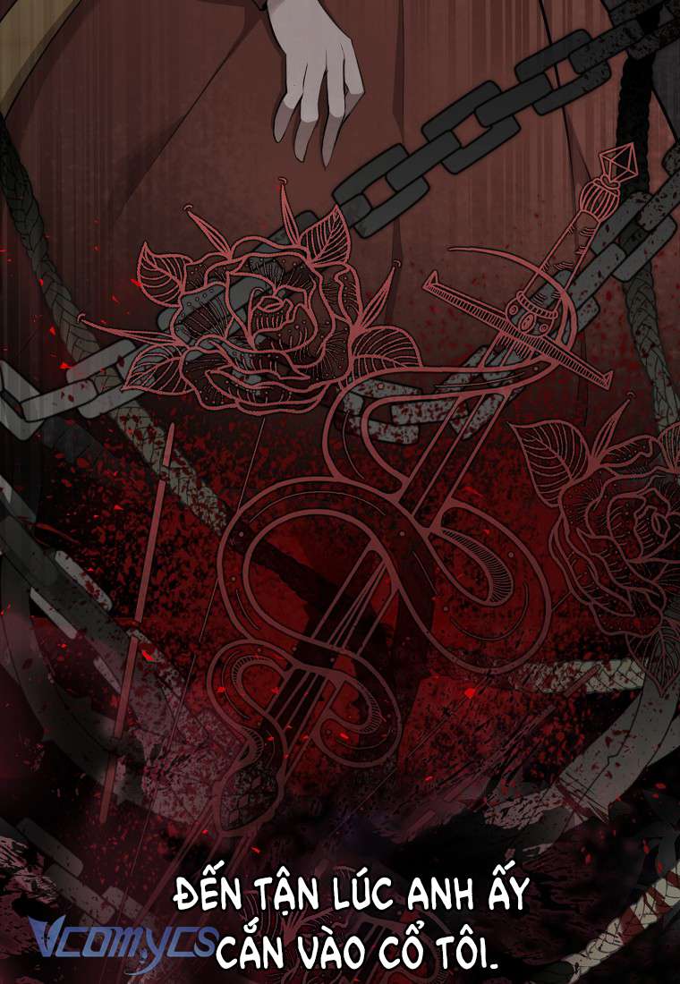 Sóc Con Tài Năng Chap 1 - Next Chap 2