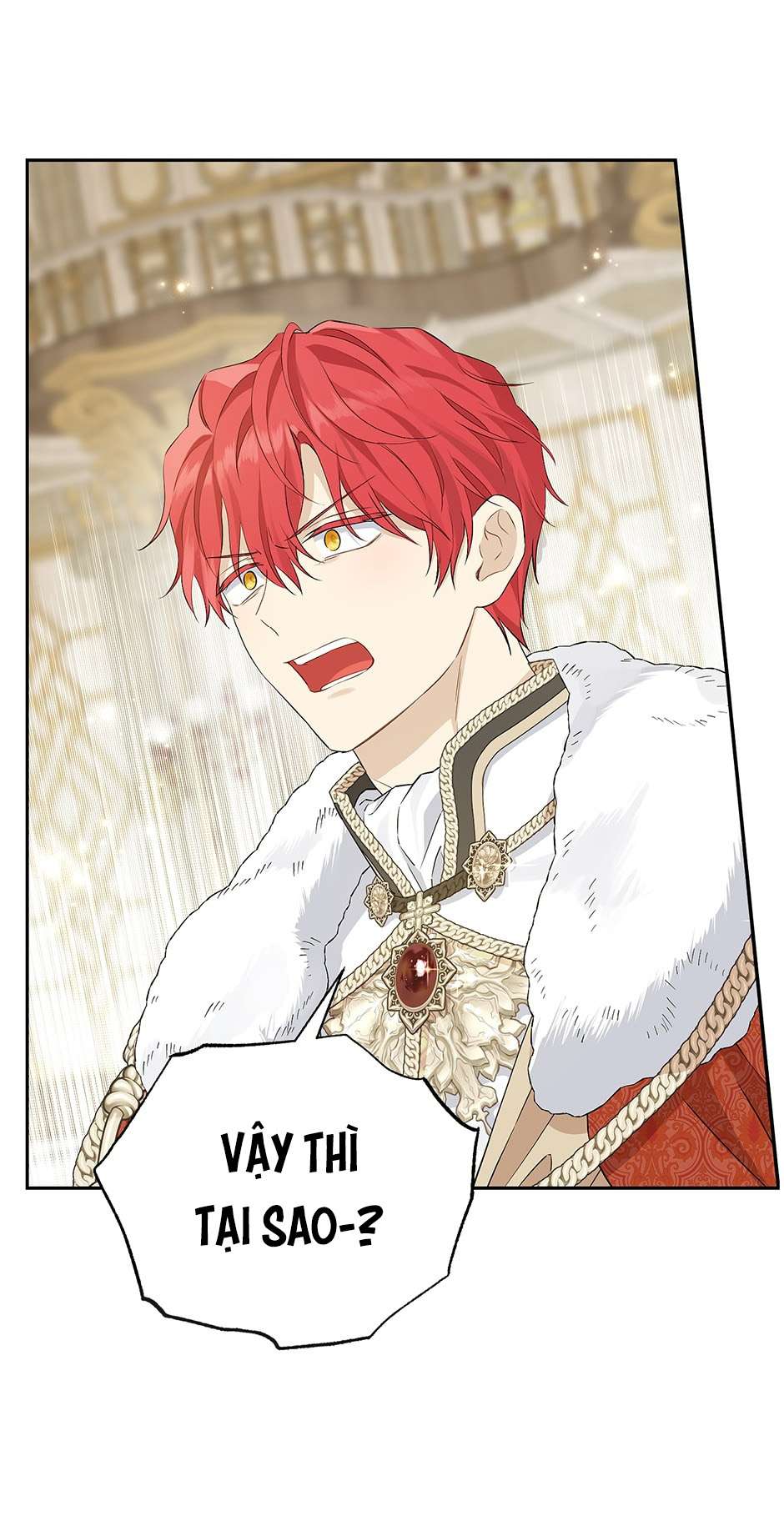 Tôi Là Minh Chứng Của Sự Thật Chap 114 - Trang 3