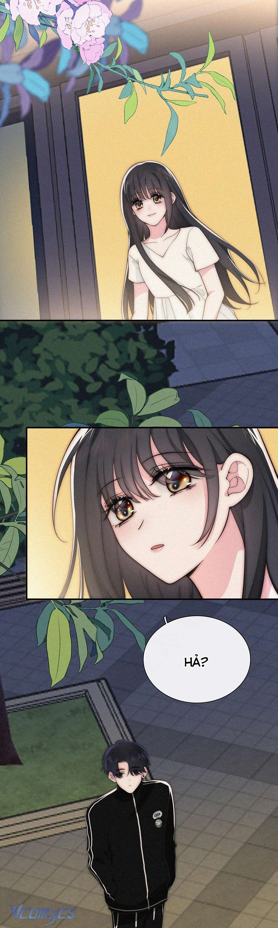 Một Mực Cưng Chiều Chap 104 - Next Chap 105