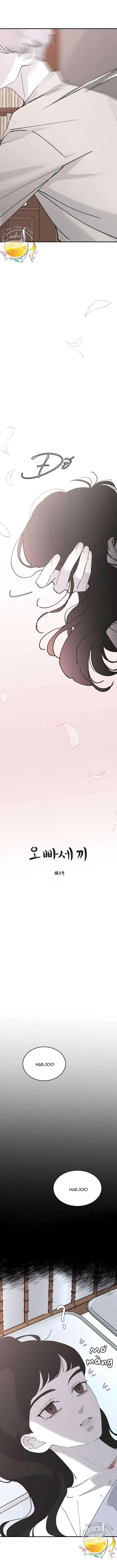 Ba Anh Trai Cực Phẩm Của Tôi Chap 29 - Next Chap 30