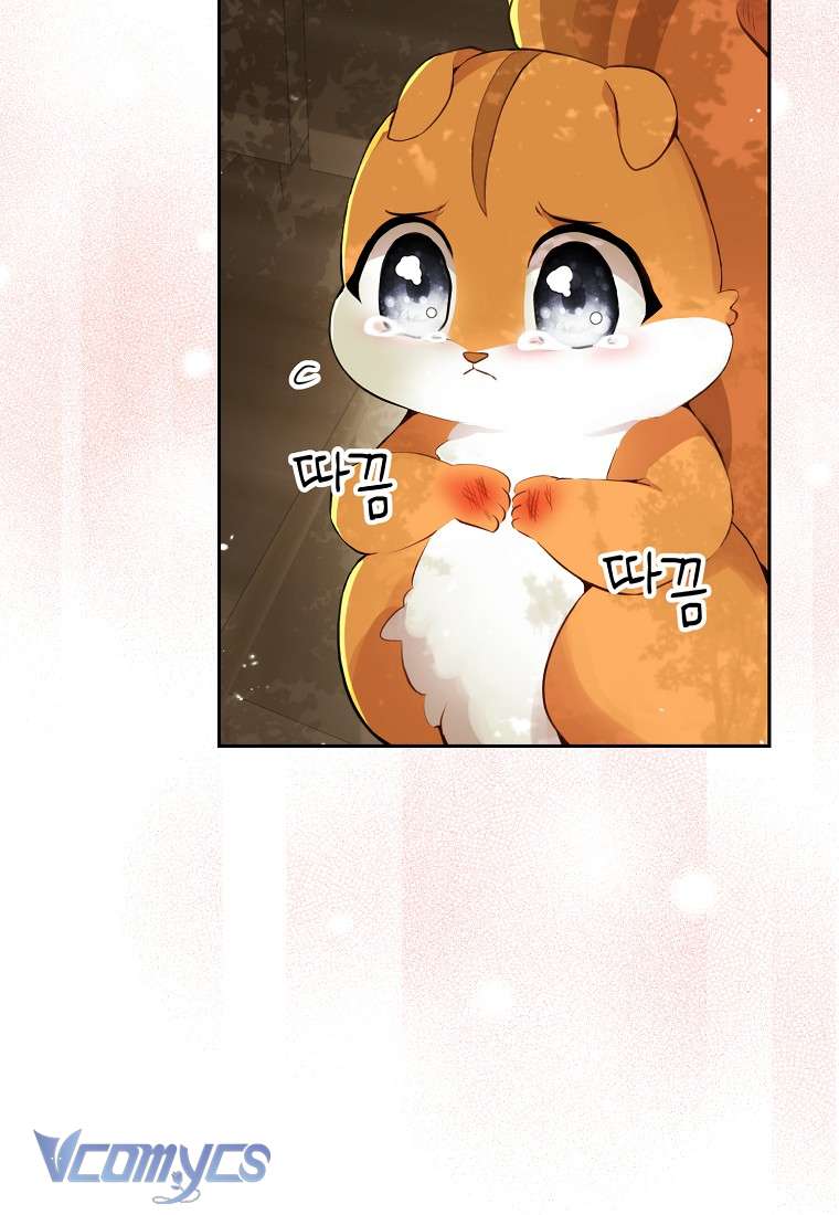 Sóc Con Tài Năng Chap 2 - Next Chap 3