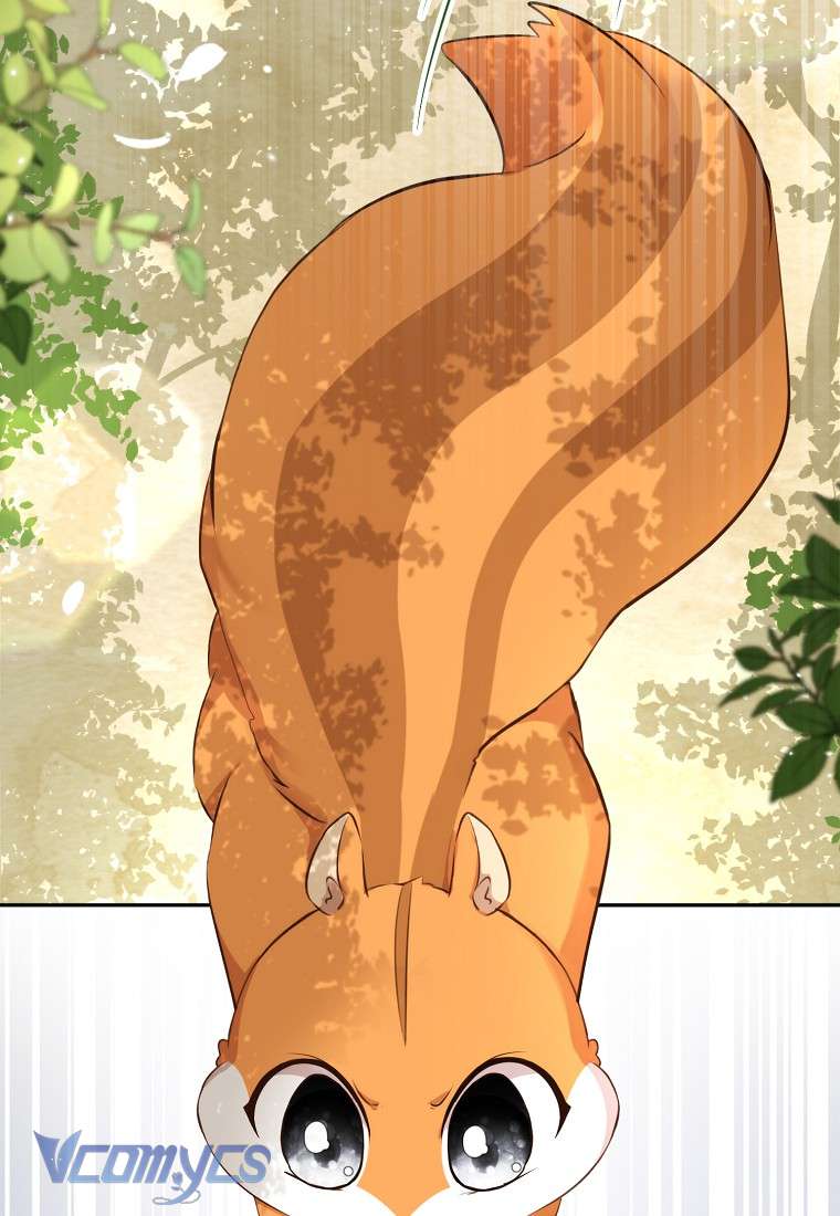 Sóc Con Tài Năng Chap 2 - Next Chap 3