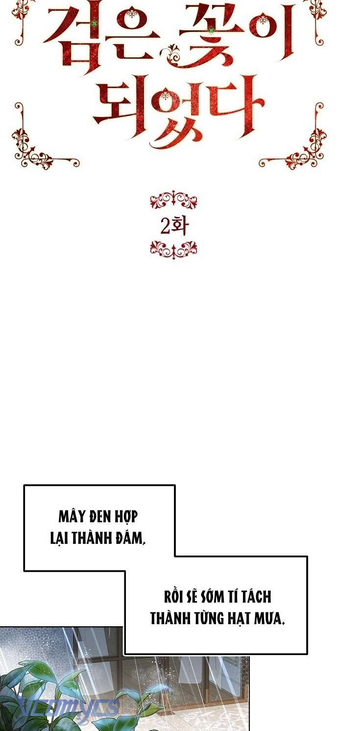 Hóa thành hoa hồng đen Chap 2 - Trang 2