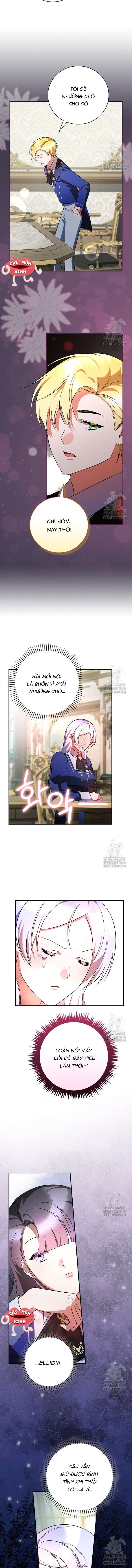 Đi Tìm Nàng Công Chúa Bỏ Trốn Chap 26 - Next Chap 28