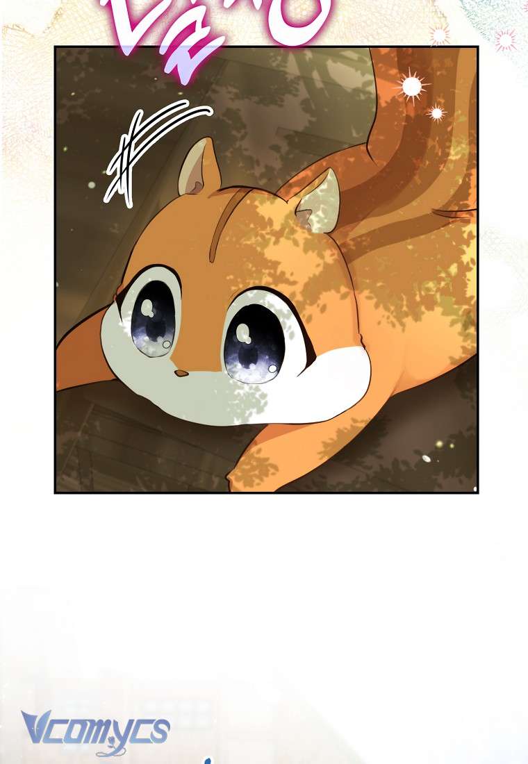 Sóc Con Tài Năng Chap 2 - Next Chap 3