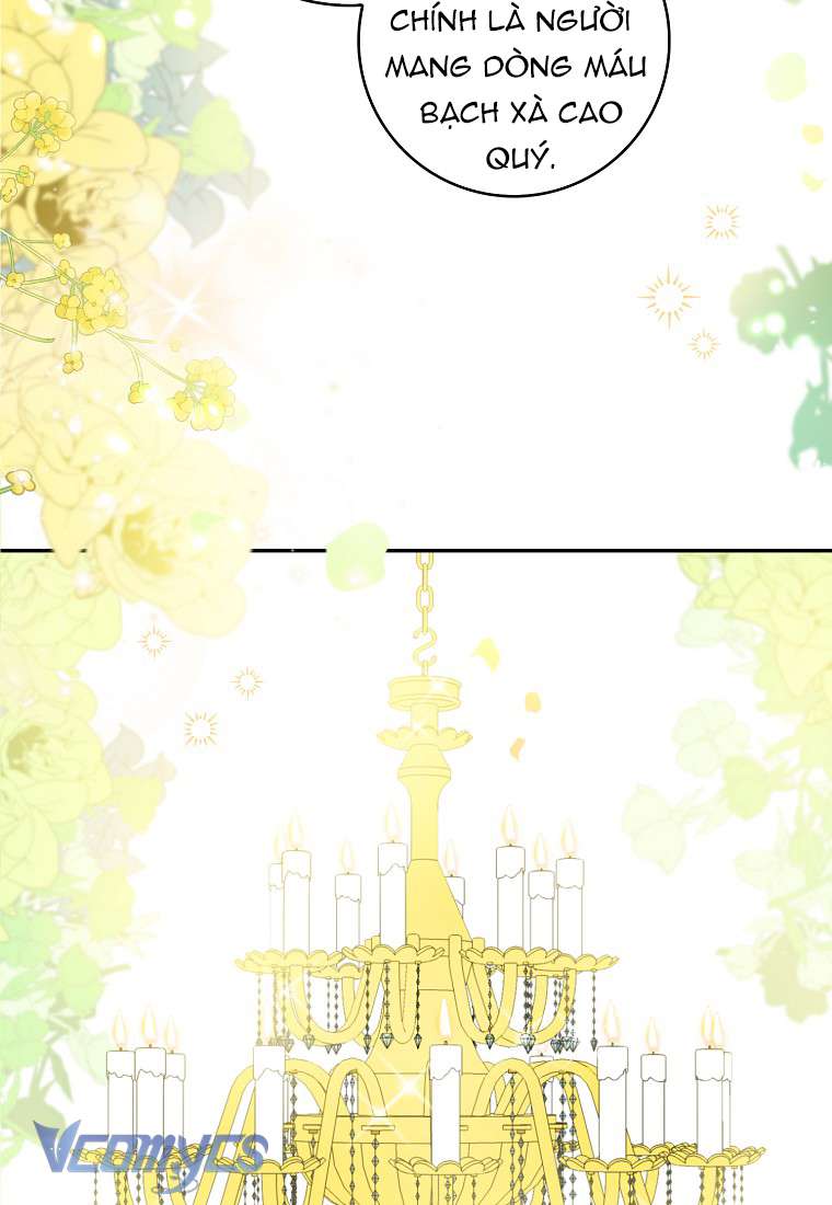 Sóc Con Tài Năng Chap 1 - Next Chap 2