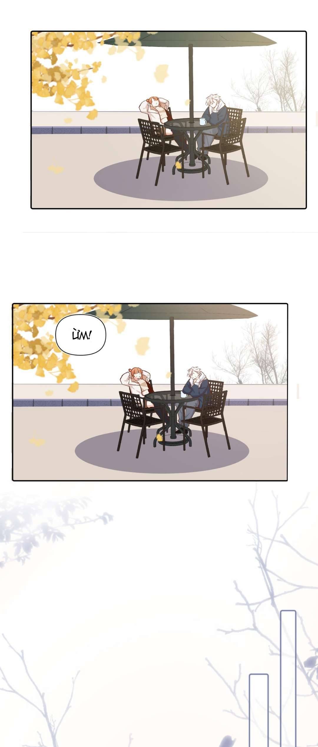 Mười năm sau, tôi kết hôn với kẻ thù không đội trời chung Chap 27 - Trang 2